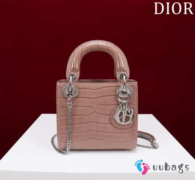 Dior M0505-Lady with Silver Buckle Brown 17x15x7cm - 1