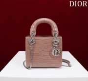 Dior M0505-Lady with Silver Buckle Brown 17x15x7cm - 1