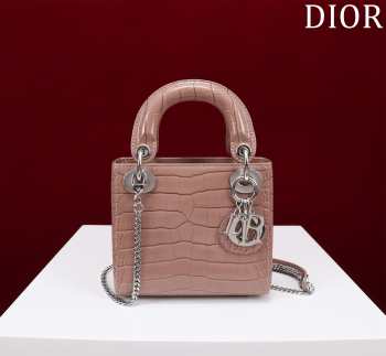 Dior M0505-Lady with Silver Buckle Brown 17x15x7cm