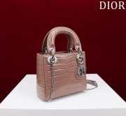 Dior M0505-Lady with Silver Buckle Brown 17x15x7cm - 2