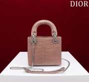 Dior M0505-Lady with Silver Buckle Brown 17x15x7cm - 4