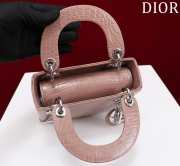 Dior M0505-Lady with Silver Buckle Brown 17x15x7cm - 6