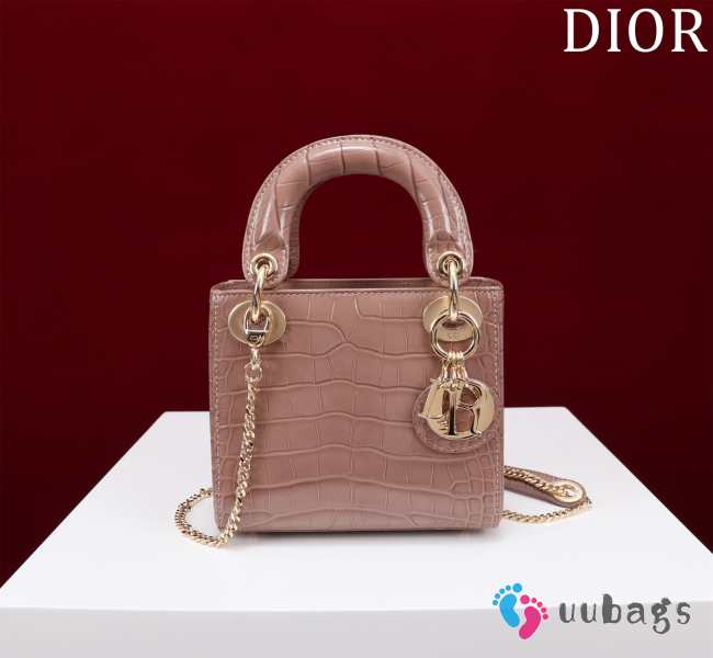 Dior M0505-Lady with gold Buckle Brown 17x15x7cm - 1