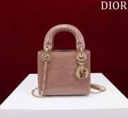 Dior M0505-Lady with gold Buckle Brown 17x15x7cm - 1