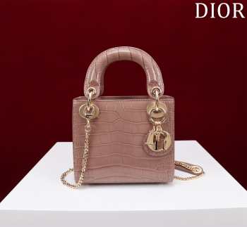 Dior M0505-Lady with gold Buckle Brown 17x15x7cm