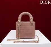 Dior M0505-Lady with gold Buckle Brown 17x15x7cm - 4