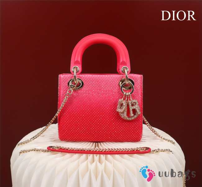 Dior M0505-Lady with gold Buckle Red 17x15x7cm - 1