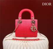 Dior M0505-Lady with gold Buckle Red 17x15x7cm - 1