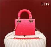 Dior M0505-Lady with gold Buckle Red 17x15x7cm - 2