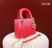 Dior M0505-Lady with gold Buckle Red 17x15x7cm - 4