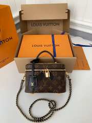 Louis Vuitton Vanity PM 19x13x11cm - 1