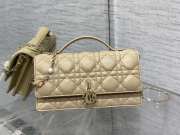 Lady Dior Pearl Hand Messenger Bag in beige 21x11x5cm - 1