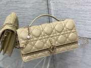 Lady Dior Pearl Hand Messenger Bag in beige 21x11x5cm - 3