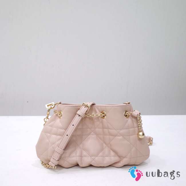 Dior Ammi In Light Pink 27x15x12cm - 1