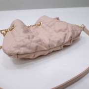 Dior Ammi In Light Pink 27x15x12cm - 2