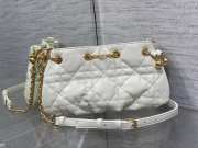 Dior Ammi in White 27x15x12cm - 2