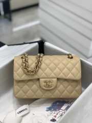 Chanel Flap bag with gold hardware in beige 23cm - 1