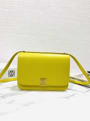 Loewe Goya Leather In Yellow 22.5x6.5x15.5cm - 1