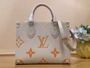 LOUIS VUITTON ONTHEGO PM BAG M46067 ORANGE 25CM - 1