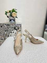 Dior Plan de Paris High Heels In Beige 2/6.5/10cm - 5