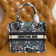 Dior Book Tote Pietro Ruffo 26cm - 1