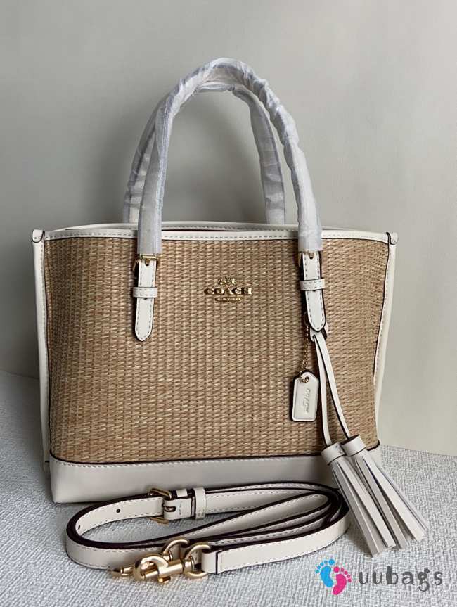 Coach Ch210 Mollie22 25x19x11cm - 1