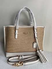 Coach Ch210 Mollie22 25x19x11cm - 1