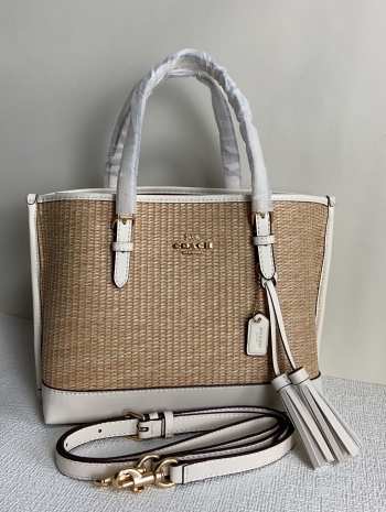 Coach Ch210 Mollie22 25x19x11cm