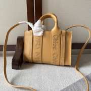 Chloe Woody full leather mini bag in brown 20x14x6cm - 1