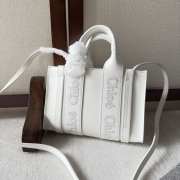 Chloe Woody full leather mini bag in white 20x14x6cm - 1