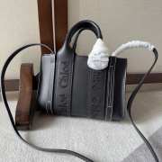 Chloe Woody full leather mini bag in black 20x14x6cm - 1