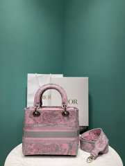 Lady Dior D-lite In Pink 24x11x20cm - 2