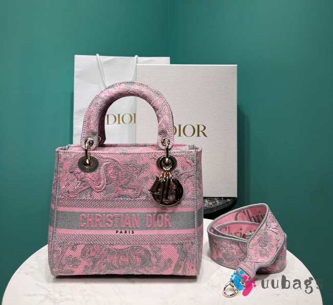 Lady Dior D-lite In Pink 24x11x20cm - 1