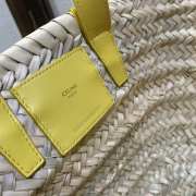 Celine Yellow Triomphe Classic Panier In Palm 19x20x10cm - 2