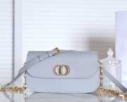 Dior 30 Montaigne Avenue In Purple 22.5x12.5x6.5cm - 1