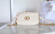 Dior 30 Montaigne Avenue In Beige 22.5x12.5x6.5cm - 1