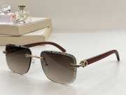 Cartier 23ss sunglasses G001 - 2