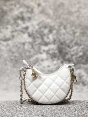 Chanel Luca Crossbody bag in white - 1