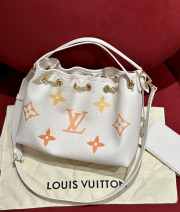 Louis Vuitton Summer Bundle In Orange 28x20x11.5cm - 1