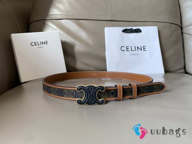 Celine belt brown and black width 2.5cm - 1