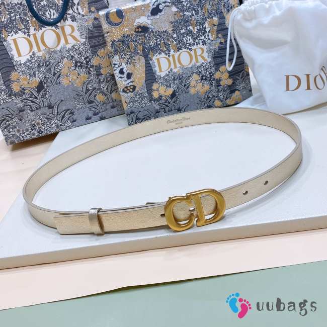 Dior belt with gold buckle width 2cm - 1