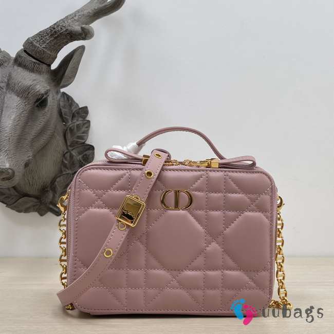 Dior caro in pink with gold buckle 18×5×13cm - 1