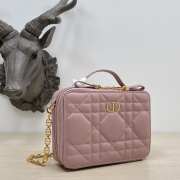 Dior caro in pink with gold buckle 18×5×13cm - 5