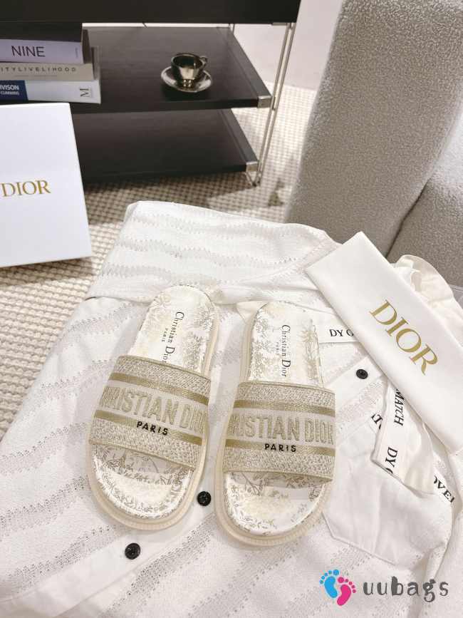 Dior Slippers S009 EU 34-41 - 1