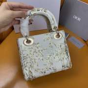 Dior Lady Jardin D'hiver 17×15×7cm - 2