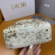 Dior Lady Jardin D'hiver 17×15×7cm - 3