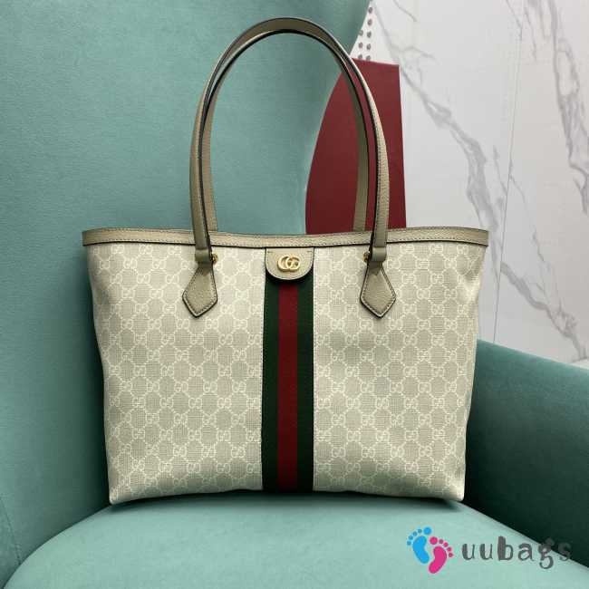 Gucci Ophidia Logo G In White 38x28x14cm - 1