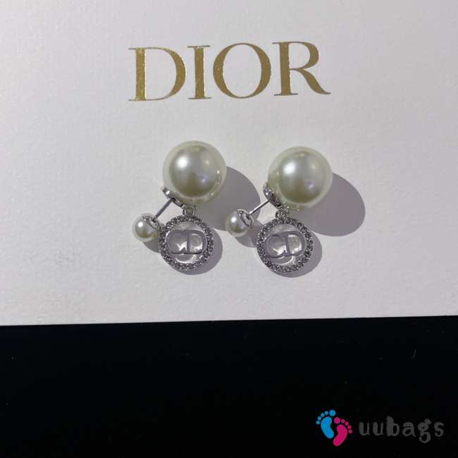 Dior earrings silver shadow - 1