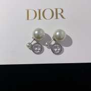 Dior earrings silver shadow - 1