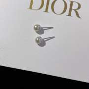 Dior earrings silver shadow - 2